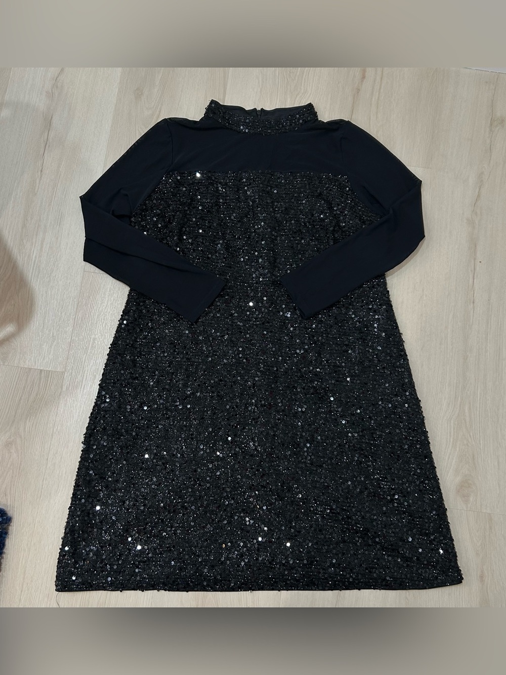 Beautiful sequence sheer dress (US 2X)